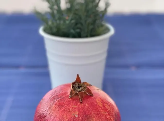 公寓 Sunny 锡切斯